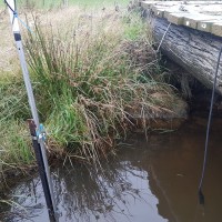 Water Level Monitoring