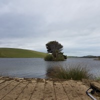 The Reservoir - Catlins